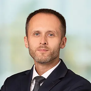 Marcin Hosaniak - Consultant